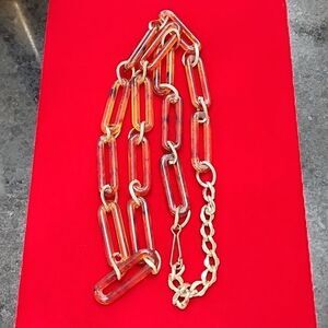 Tortoise and Chain Link Silver Tone Long Necklace